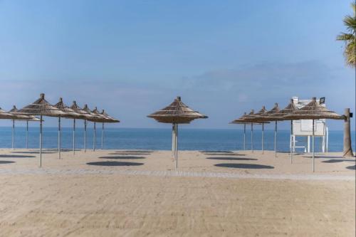 425766967_805089831659019_1302765767036870495_n