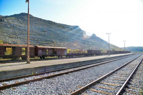 23736324 1534321063356038 3719308540497062500 o