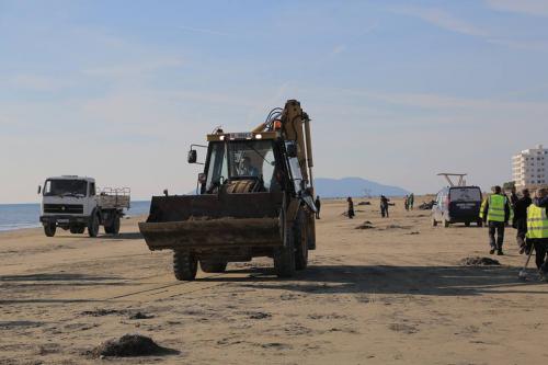 23905539 1538789752909169 3916104625734527238 n