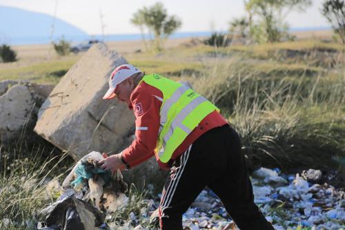 23915638 1538789649575846 8113304670043410320 n